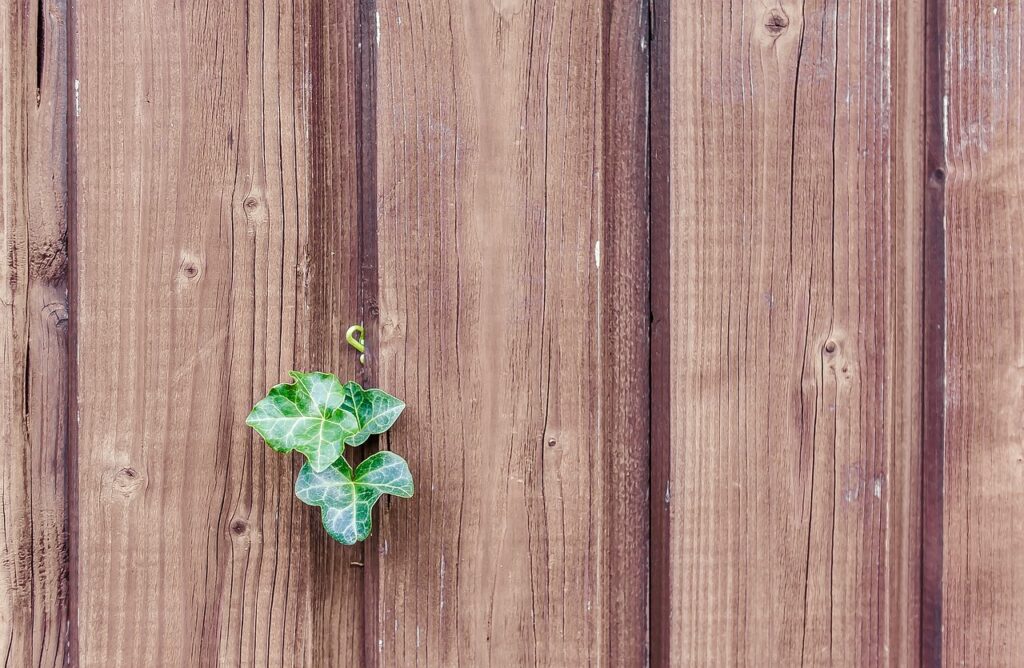 Quelle clôture choisir pour son jardin ?